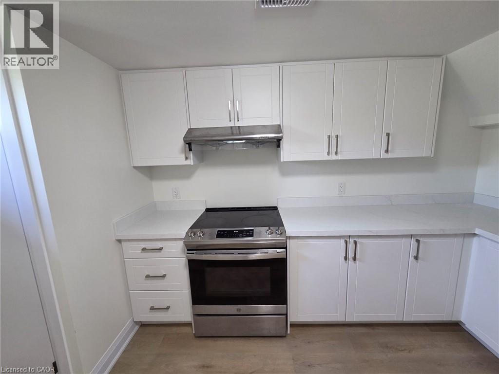 12 Ferndale Avenue Unit# Lower, St. Catharines, Ontario  L2P 1V3 - Photo 4 - 40824092