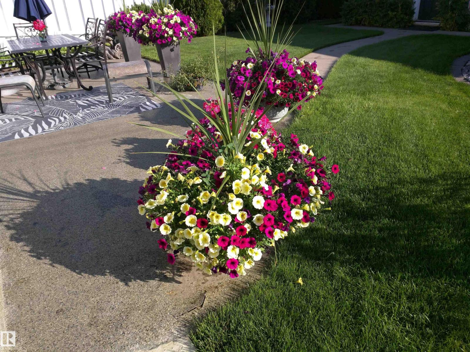 5302 48 Av, Vegreville, Alberta  T9C 1N1 - Photo 42 - E4483422