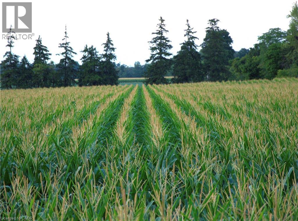 140 Festival Way, Hamilton, Ontario  L0R 1C0 - Photo 41 - 40824598