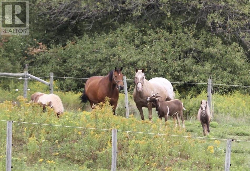 5459 Route 13, New Glasgow, Prince Edward Island  C0A 1N0 - Photo 40 - 202608875