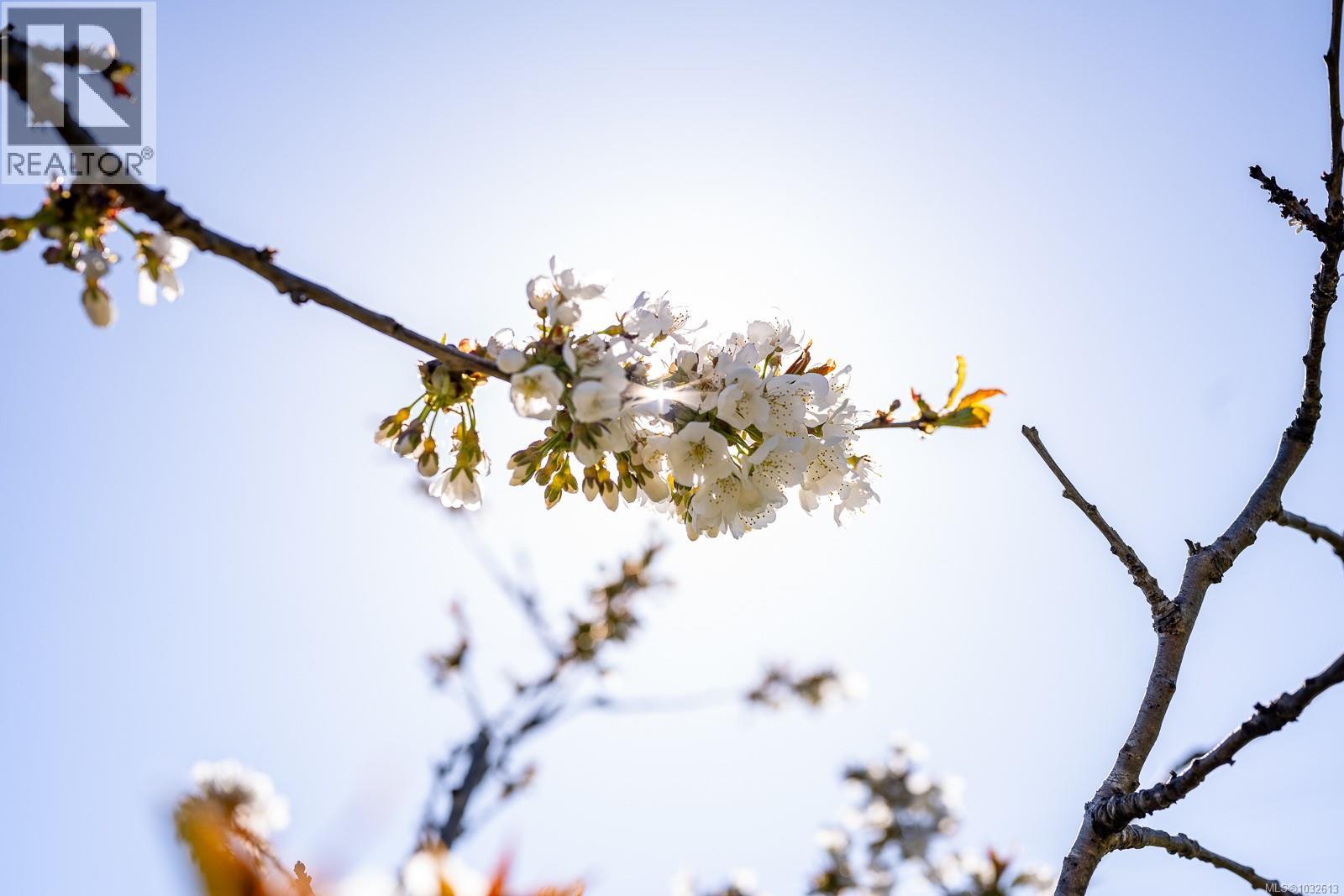 3397 Lake Trail Rd, Courtenay, British Columbia  V9N 9M2 - Photo 56 - 1032613