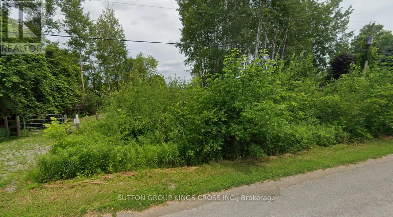 Lt 14 Charlore Park Drive, Kawartha Lakes, Ontario  K0L 2W0 - Photo 3 - X13054964