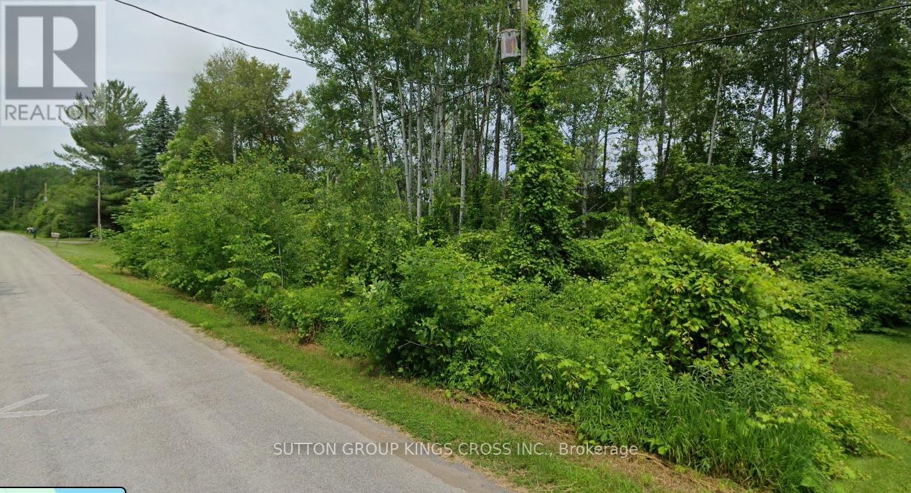 Lt 14 Charlore Park Drive, Kawartha Lakes, Ontario  K0L 2W0 - Photo 4 - X13054964