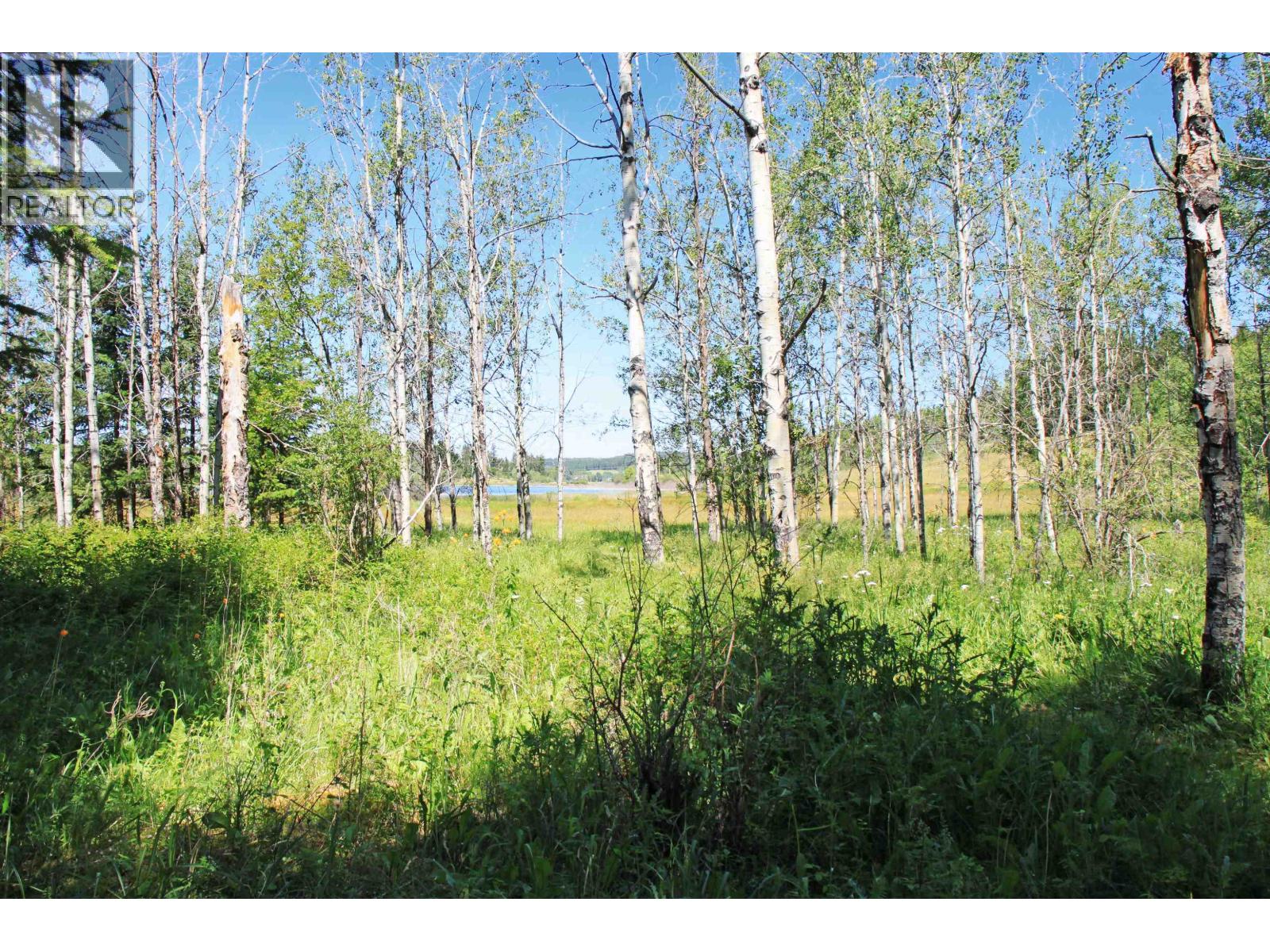 5371 Kallum Drive, 108 Mile Ranch, British Columbia  V0K 2Z0 - Photo 15 - R3116510