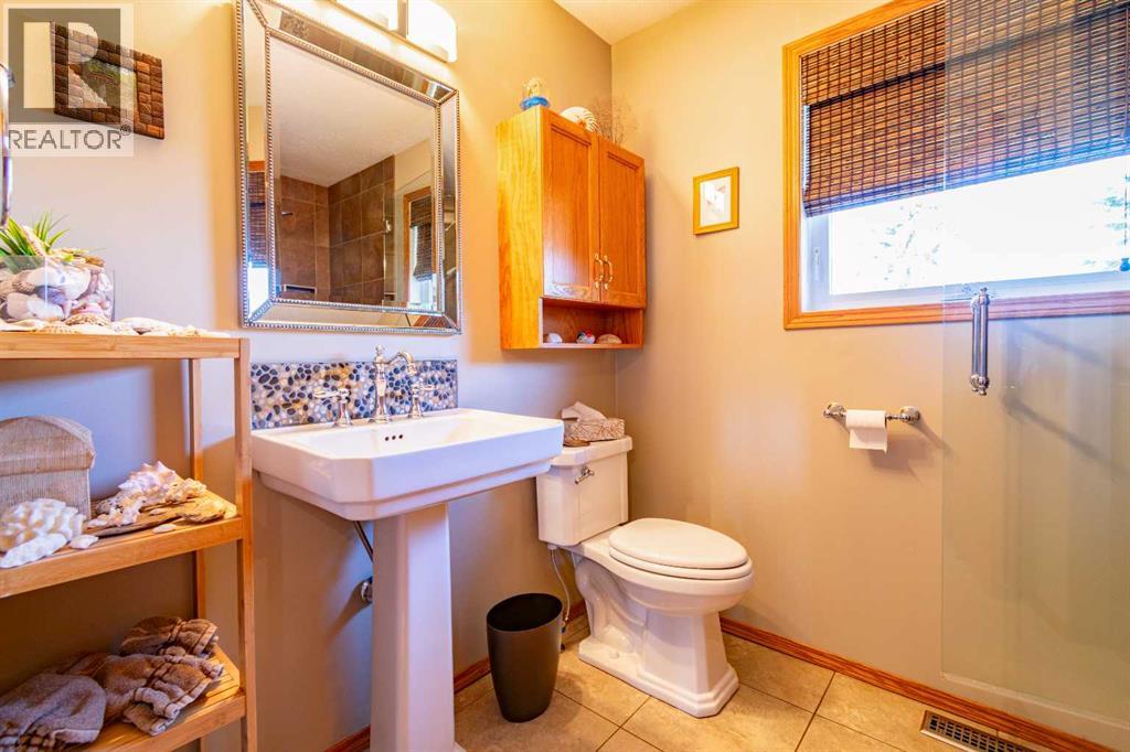 5404 49a Avenue, Alix, Alberta  T0C 0B0 - Photo 21 - A2301574
