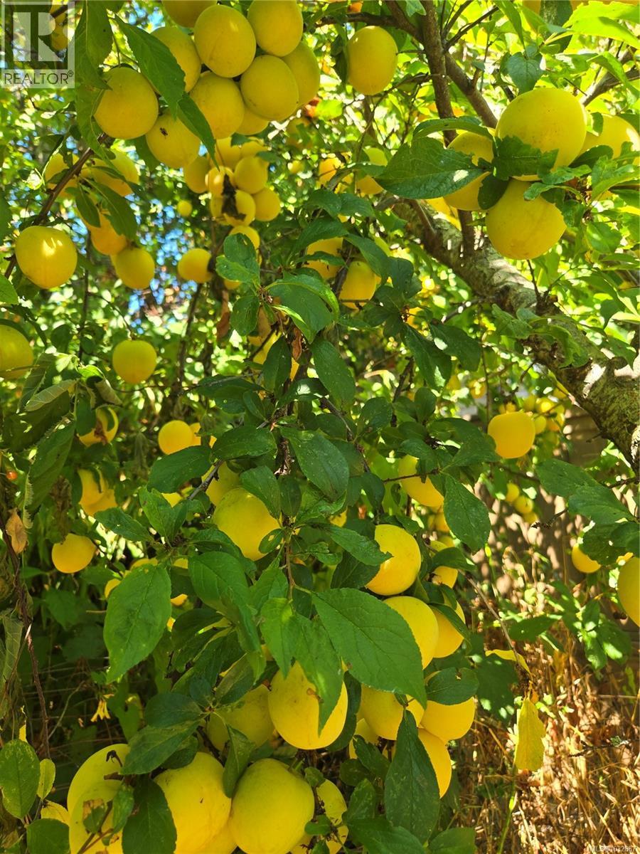 1937 Kaltasin Rd, Sooke, British Columbia  V9Z 0B2 - Photo 33 - 1032887