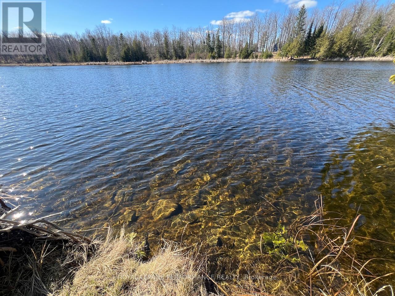 304 Lacourse Lane, Lanark Highlands, Ontario  K0A 3L0 - Photo 13 - X13015438