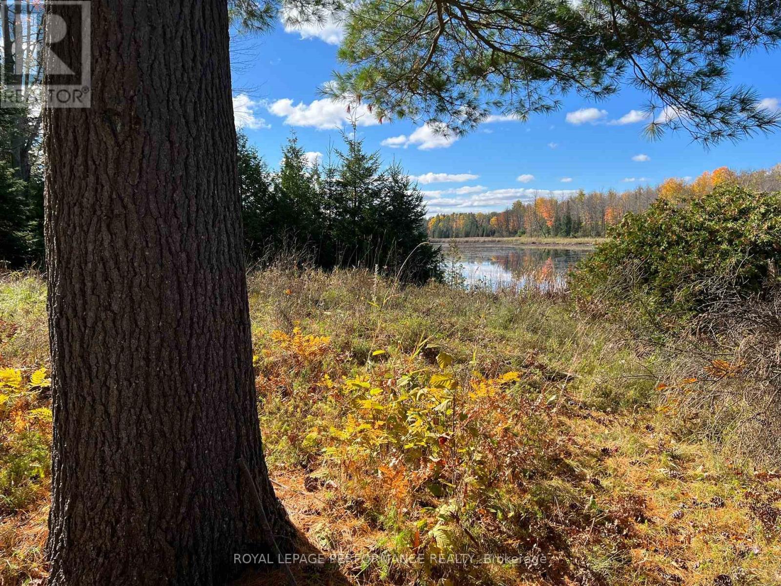 304 Lacourse Lane, Lanark Highlands, Ontario  K0A 3L0 - Photo 6 - X13015438