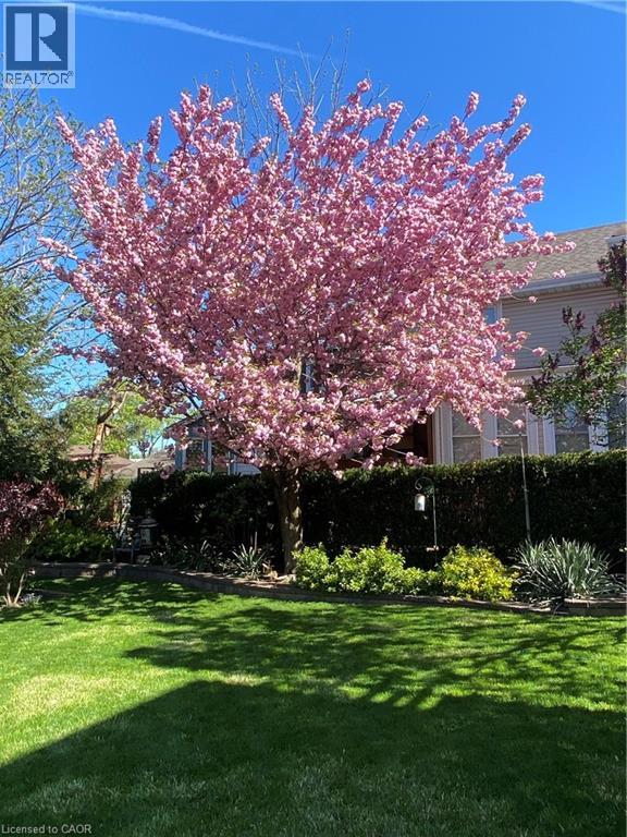 73 Lake Avenue Drive, Stoney Creek, Ontario  L8G 1X7 - Photo 44 - 40823644