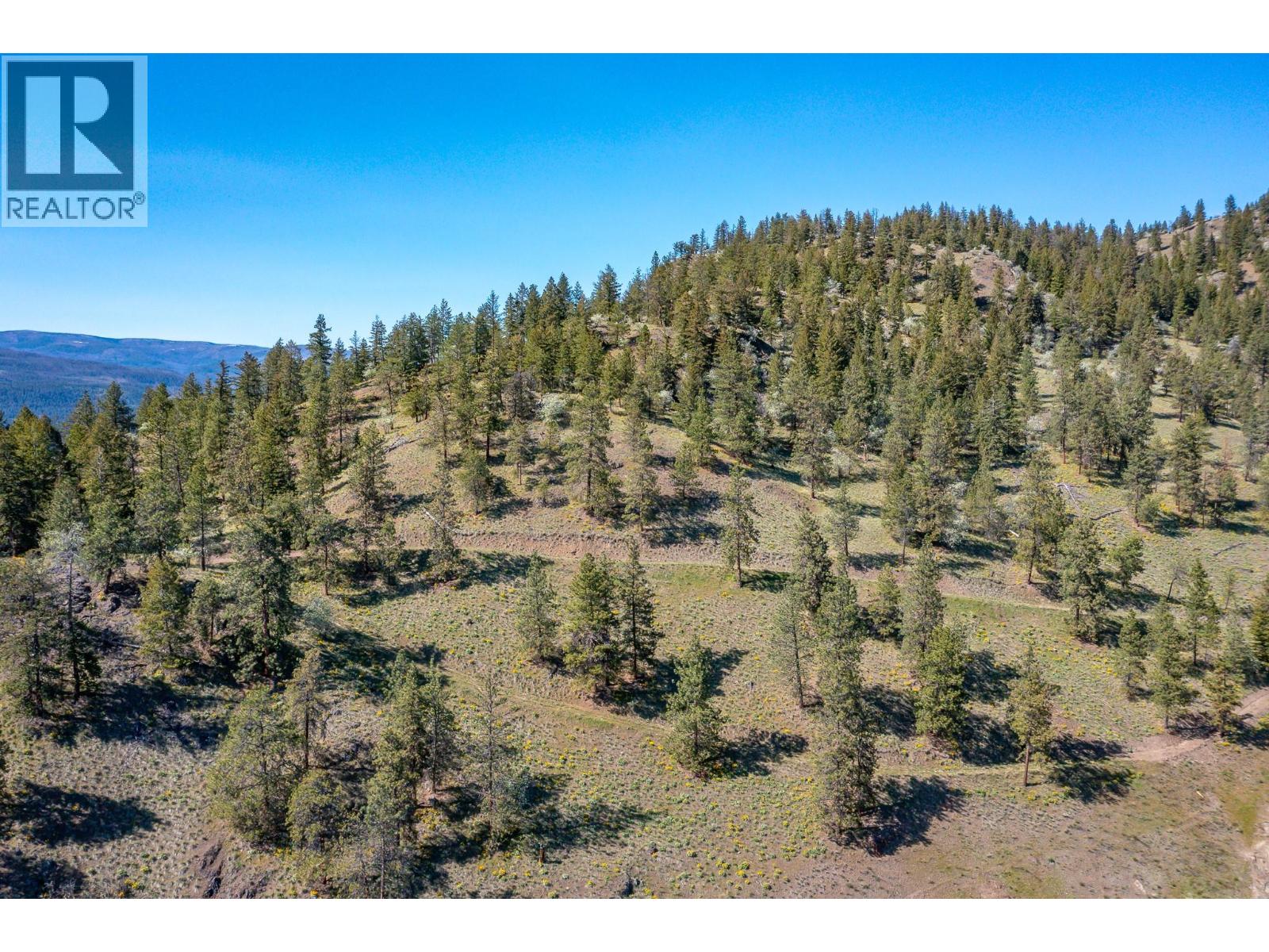 8808 Tavistock Road, Vernon, British Columbia  V1H 2K9 - Photo 26 - 10384508