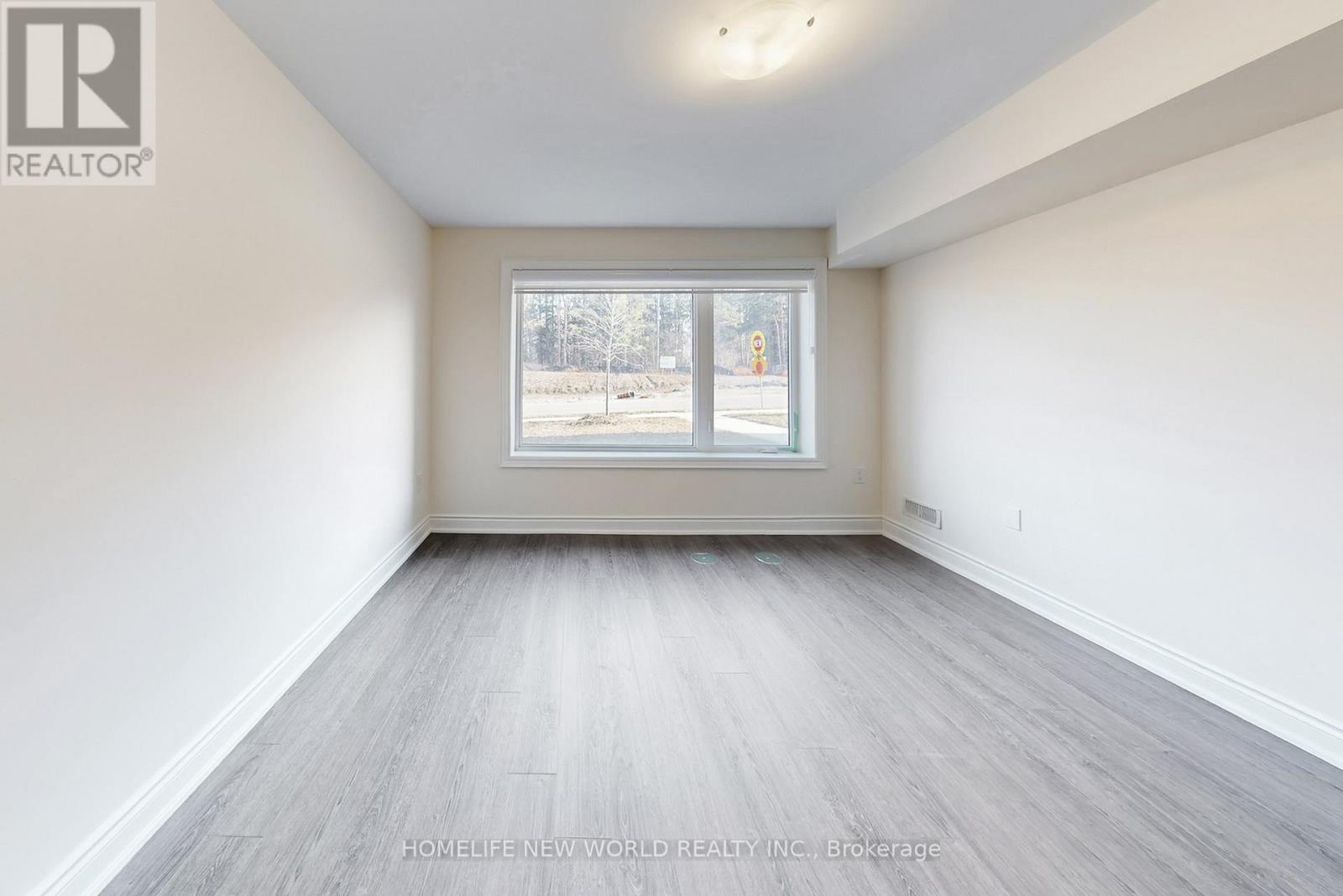 18 Bennington Road, Newmarket, Ontario  L3X 0M8 - Photo 29 - N13055296