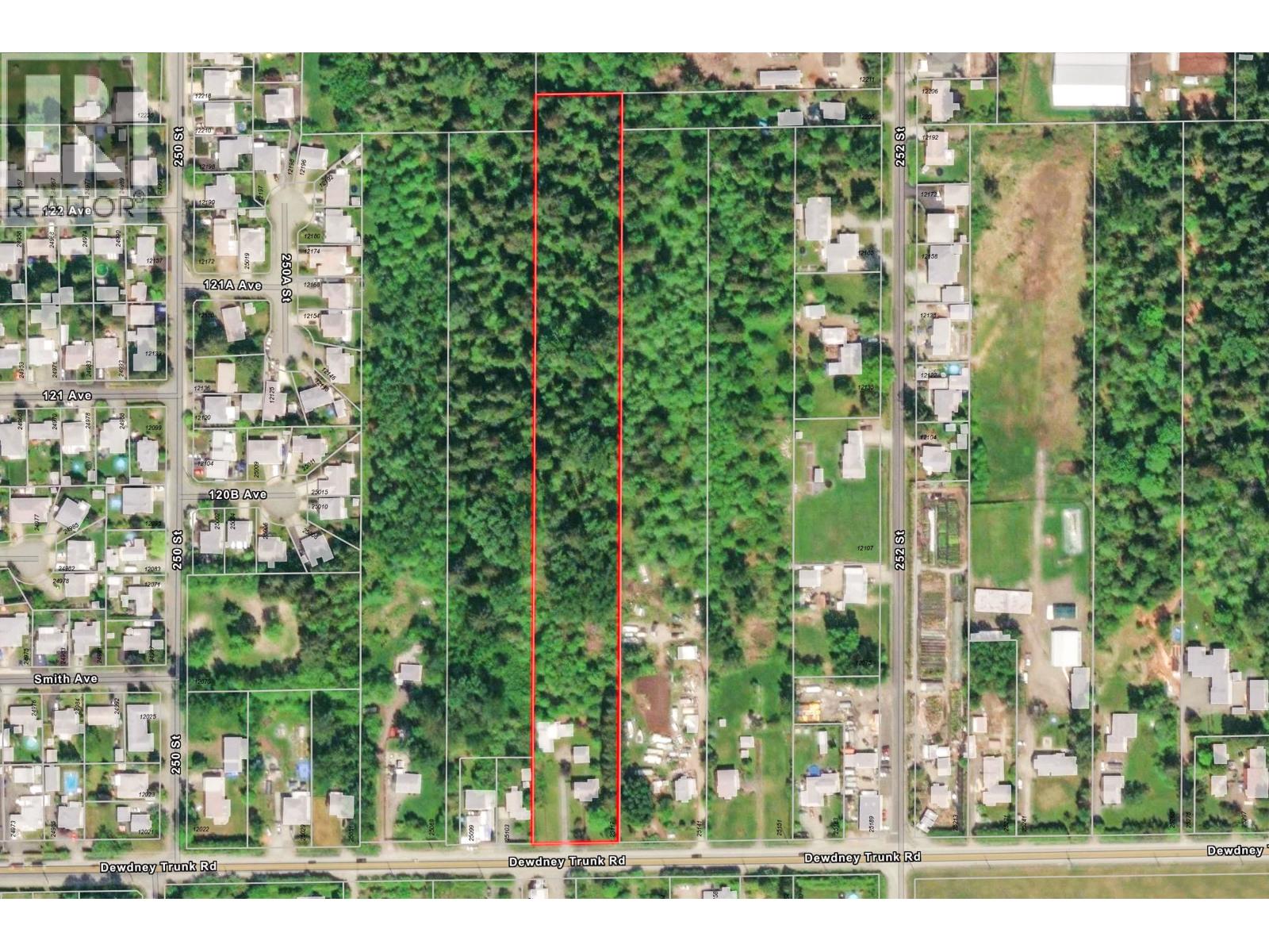 25117 Dewdney Trunk Road, Maple Ridge, British Columbia  V4R 1X6 - Photo 2 - R3109868