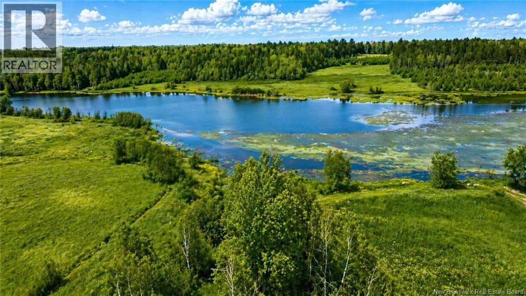 Lot Cocagne River, Cocagne, New Brunswick  E4R 3B8 - Photo 4 - NB137293