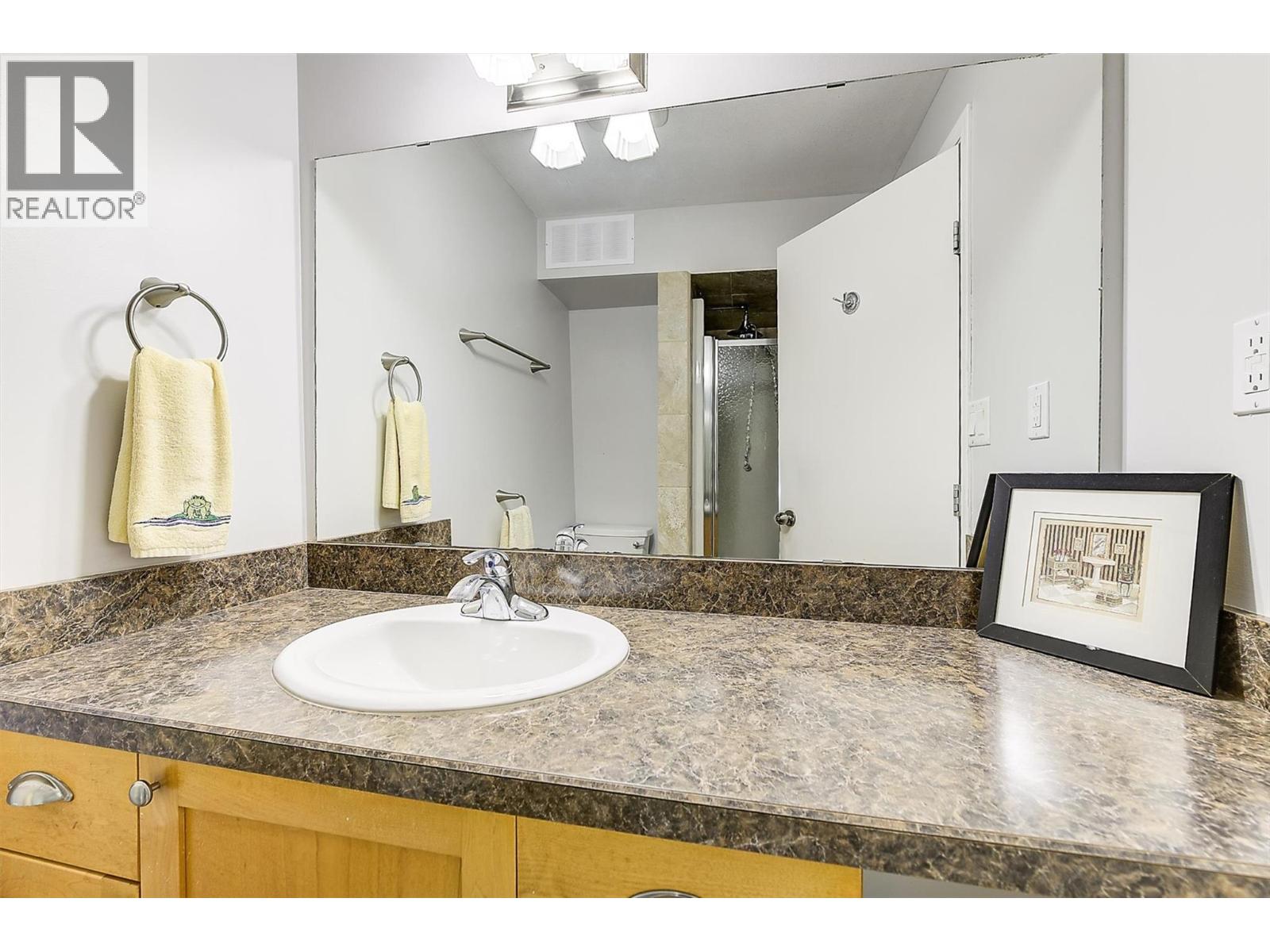 169 Cliffview Drive, Enderby, British Columbia  V4Y 4C1 - Photo 37 - 10384769