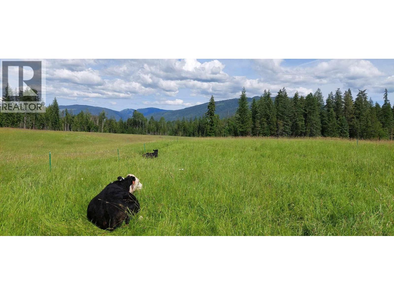 59 Beaven Road, Cherryville, British Columbia  V0E 2G3 - Photo 50 - 10385186