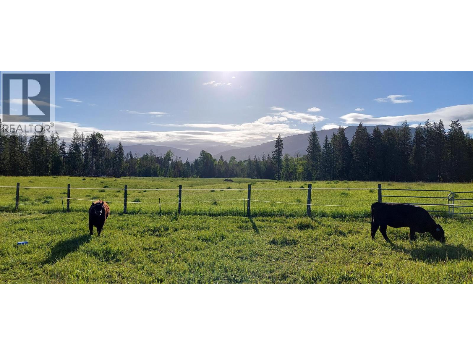 59 Beaven Road, Cherryville, British Columbia  V0E 2G3 - Photo 52 - 10385186