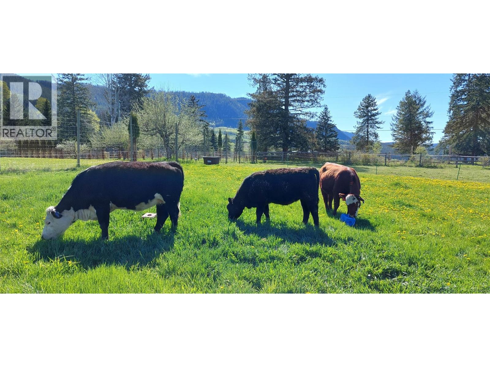 59 Beaven Road, Cherryville, British Columbia  V0E 2G3 - Photo 51 - 10385186