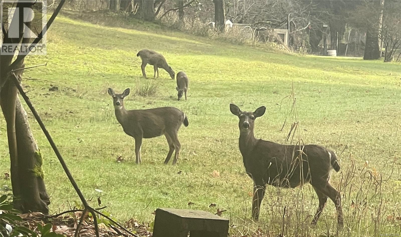 3217 Hewstone Rd, Nanaimo, British Columbia  V9X 1W8 - Photo 60 - 1033750