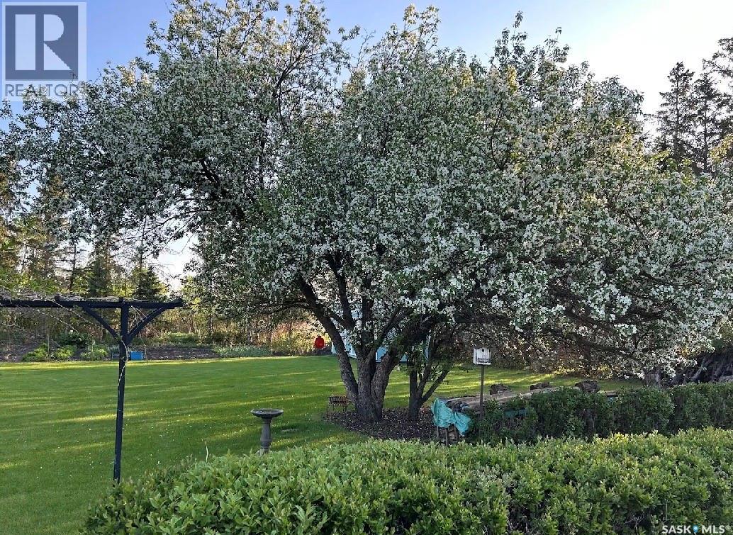 Little Homestead Acreage, Wallace Rm No. 243, Saskatchewan  S0A 4S0 - Photo 53 - SK034205