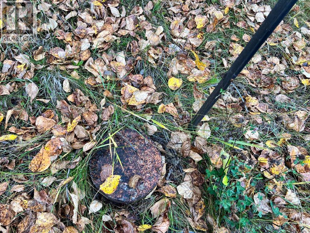 65322 Hwy 43, Little Smoky, Alberta  T0H 3Z0 - Photo 10 - A2292433