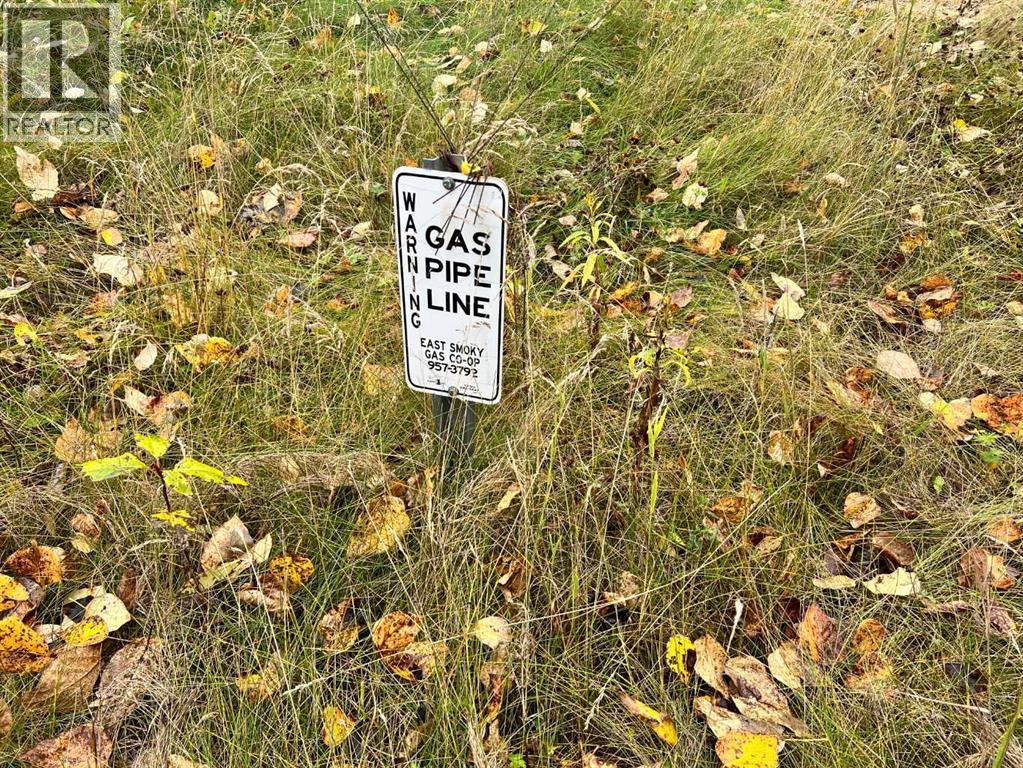 65322 Hwy 43, Little Smoky, Alberta  T0H 3Z0 - Photo 9 - A2292433