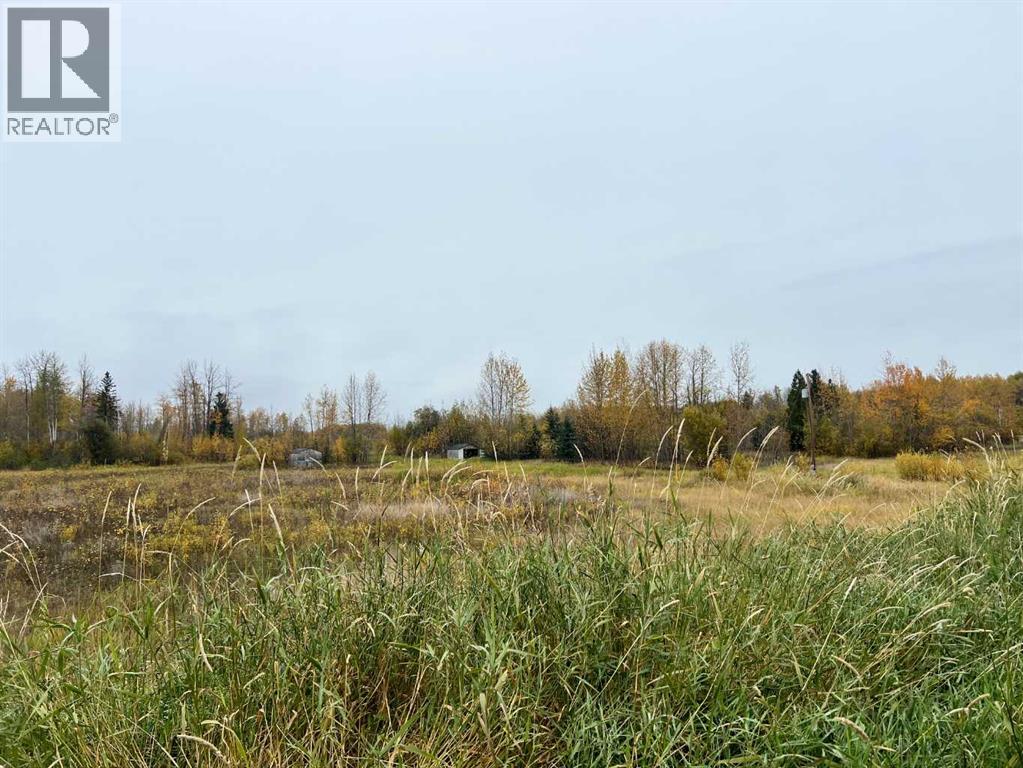 65322 Hwy 43, Little Smoky, Alberta  T0H 3Z0 - Photo 3 - A2292433
