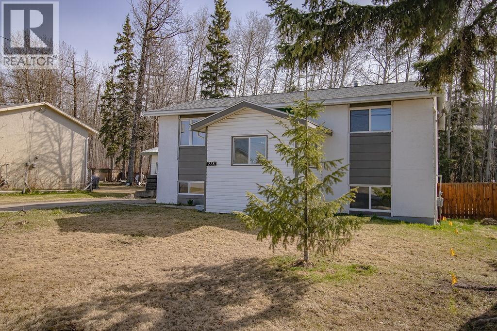 238 E 4th Avenue, Fort St. James, British Columbia  V0J 1P0 - Photo 2 - R3116868