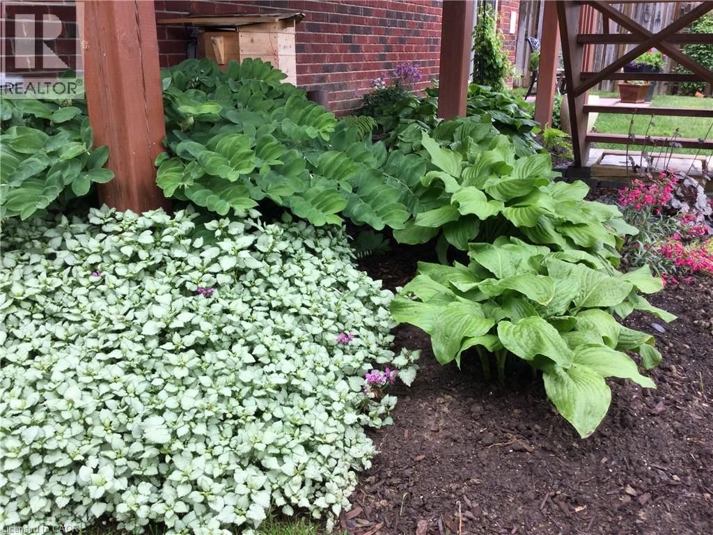 140 Festival Way, Hamilton, Ontario  L0R 1C0 - Photo 39 - 40824598