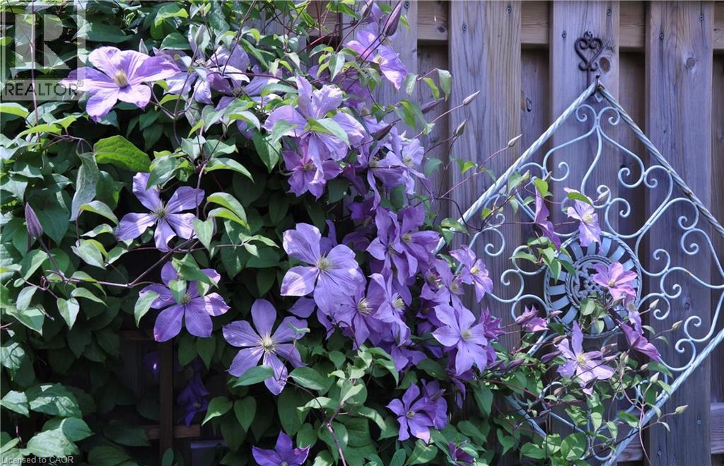 140 Festival Way, Hamilton, Ontario  L0R 1C0 - Photo 38 - 40824598