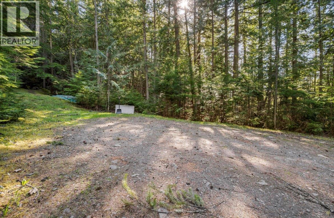 Lot 7 6 Highway, Nakusp, British Columbia  V0G 1R1 - Photo 12 - 10384848