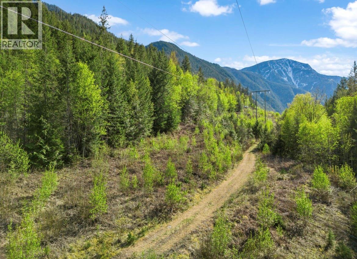 Lot 7 6 Highway, Nakusp, British Columbia  V0G 1R1 - Photo 5 - 10384848