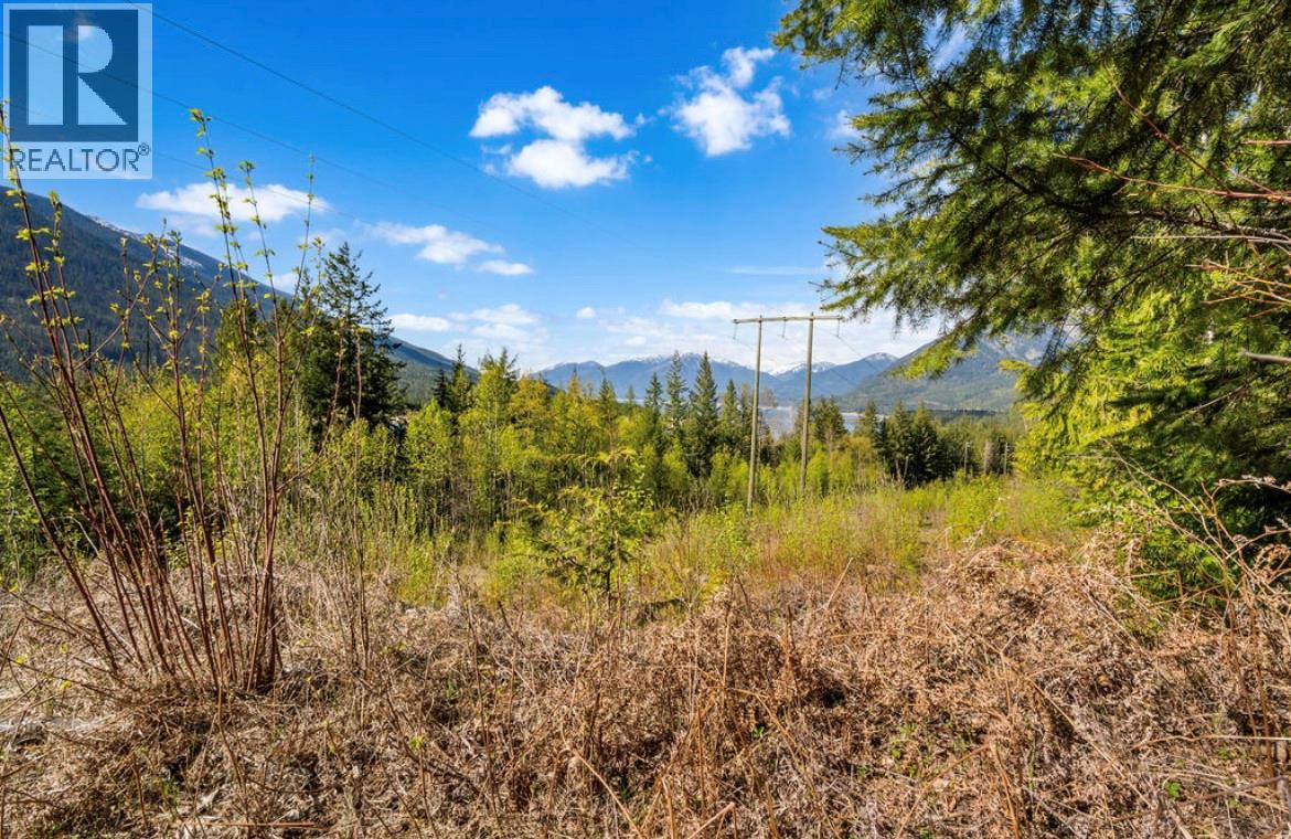 Lot 7 6 Highway, Nakusp, British Columbia  V0G 1R1 - Photo 6 - 10384848