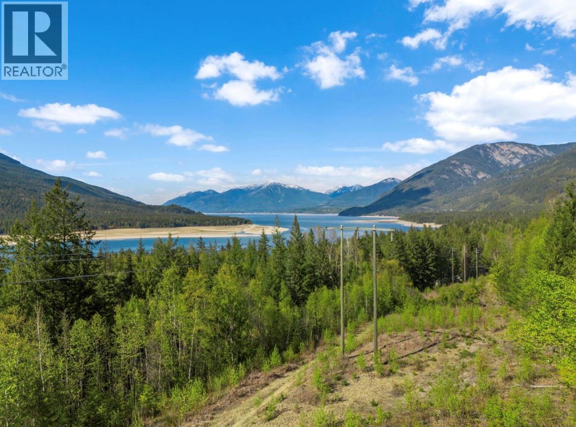 Lot 7 6 Highway, Nakusp, British Columbia  V0G 1R1 - Photo 7 - 10384848