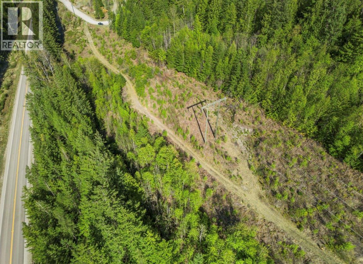 Lot 7 6 Highway, Nakusp, British Columbia  V0G 1R1 - Photo 9 - 10384848