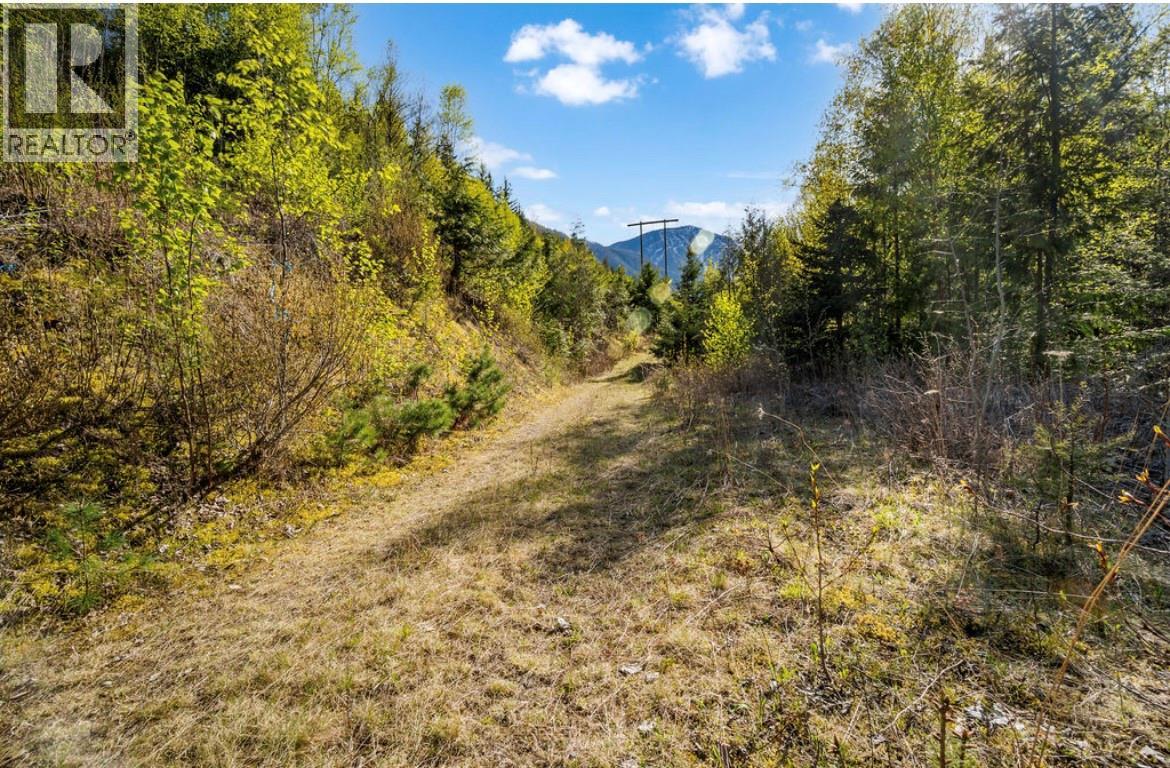Lot 7 6 Highway, Nakusp, British Columbia  V0G 1R1 - Photo 4 - 10384848