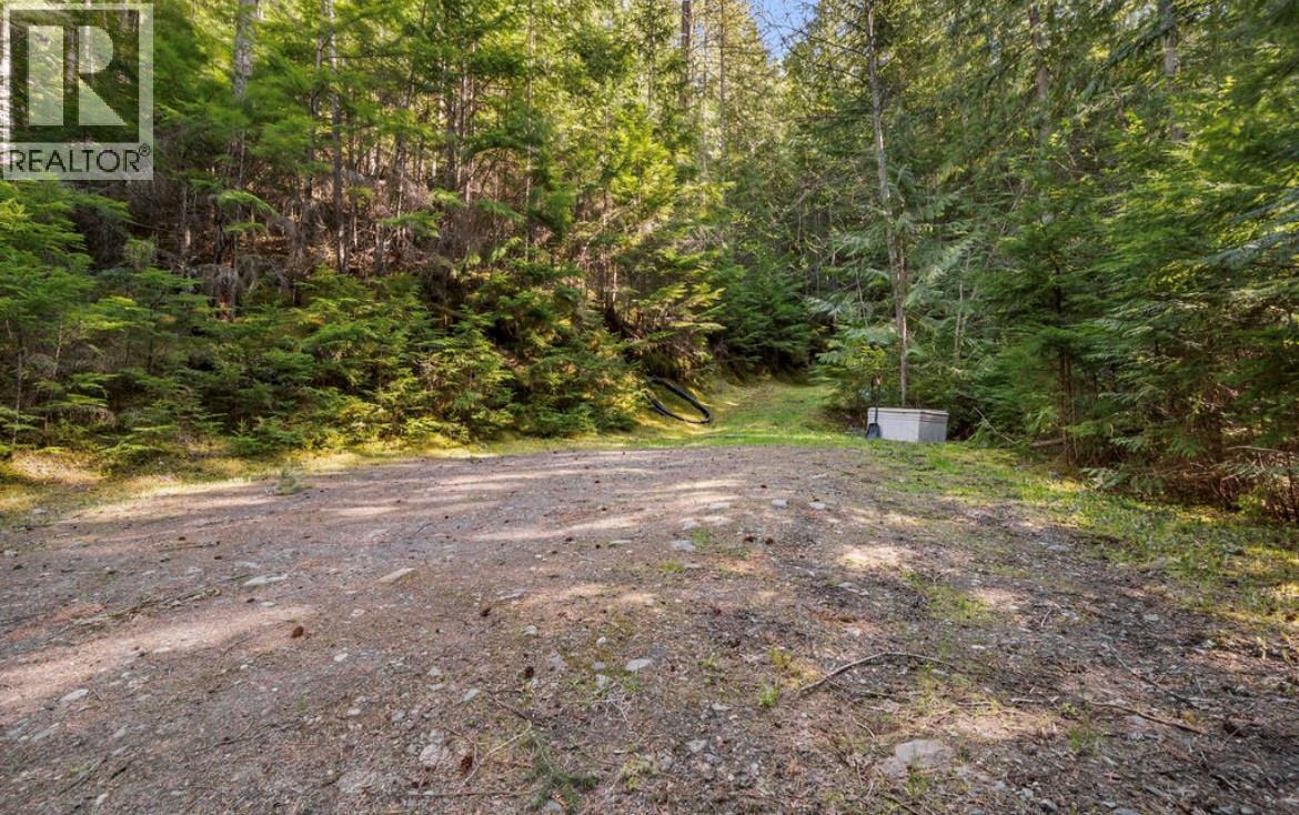 Lot 7 6 Highway, Nakusp, British Columbia  V0G 1R1 - Photo 13 - 10384848