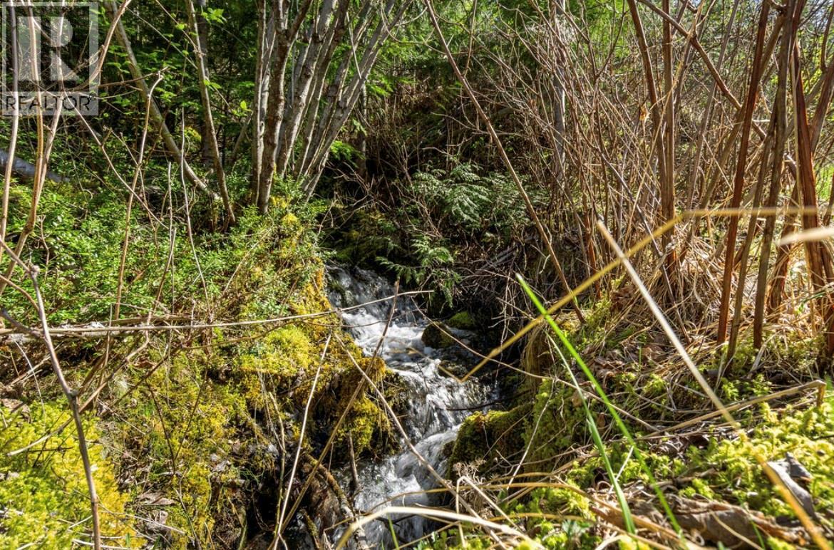 Lot 7 6 Highway, Nakusp, British Columbia  V0G 1R1 - Photo 8 - 10384848