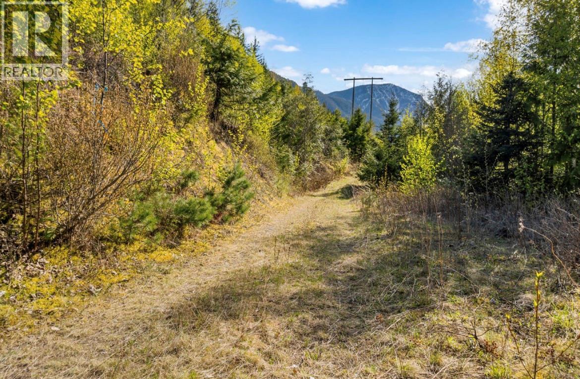Lot 7 6 Highway, Nakusp, British Columbia  V0G 1R1 - Photo 14 - 10384848