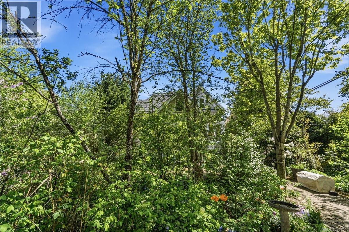 133 Milton St, Nanaimo, British Columbia  V9R 2K4 - Photo 49 - 1031364