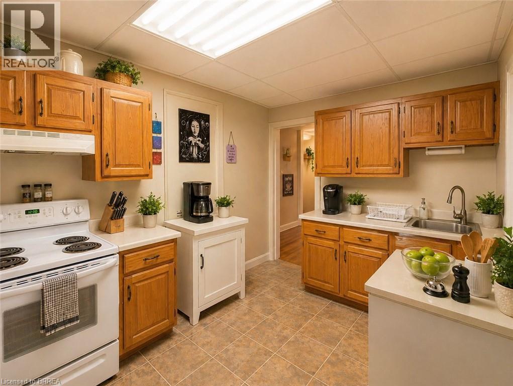 260 Murray Street, Brantford, Ontario  N3S 5S5 - Photo 13 - 40823008