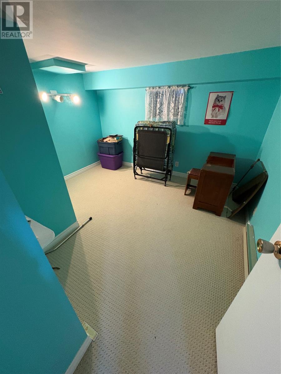 403 Main Street, Triton, Newfoundland & Labrador  A0J 1V0 - Photo 37 - 1296427