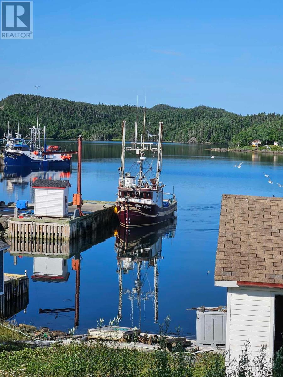 403 Main Street, Triton, Newfoundland & Labrador  A0J 1V0 - Photo 38 - 1296427