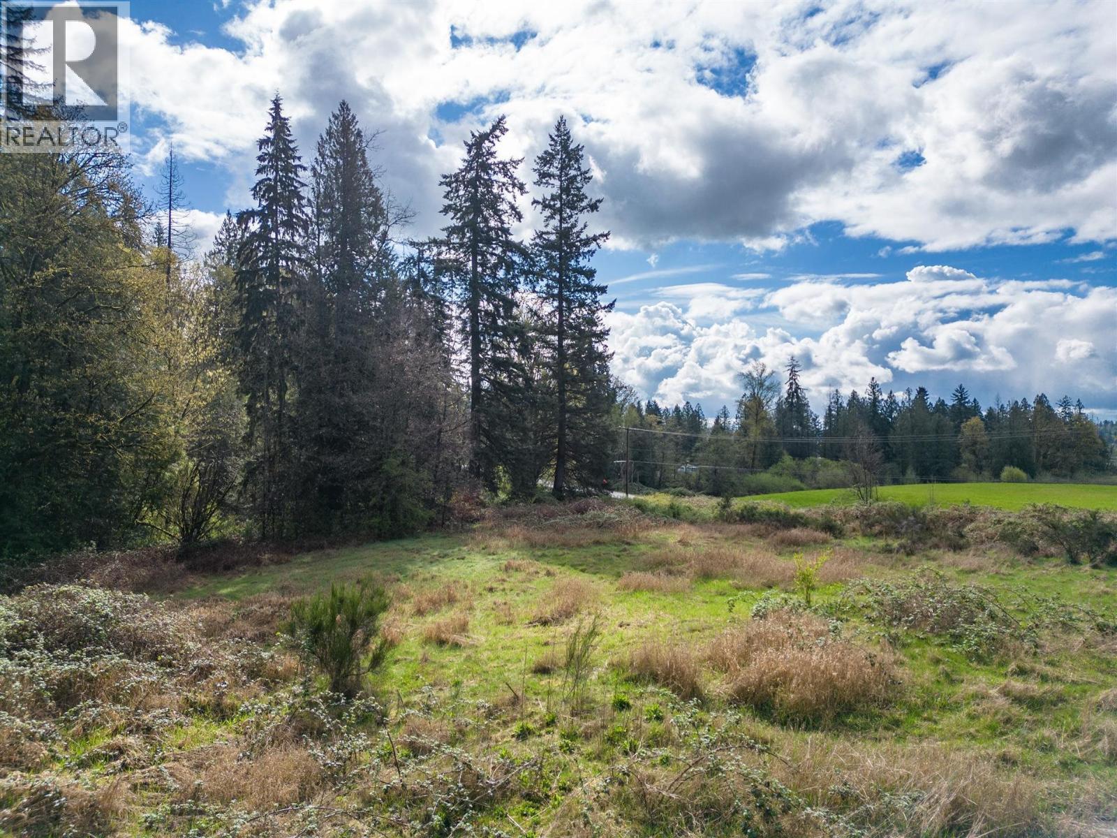 25655 Lougheed Highway, Maple Ridge, British Columbia  V2W 1M3 - Photo 5 - R3116983