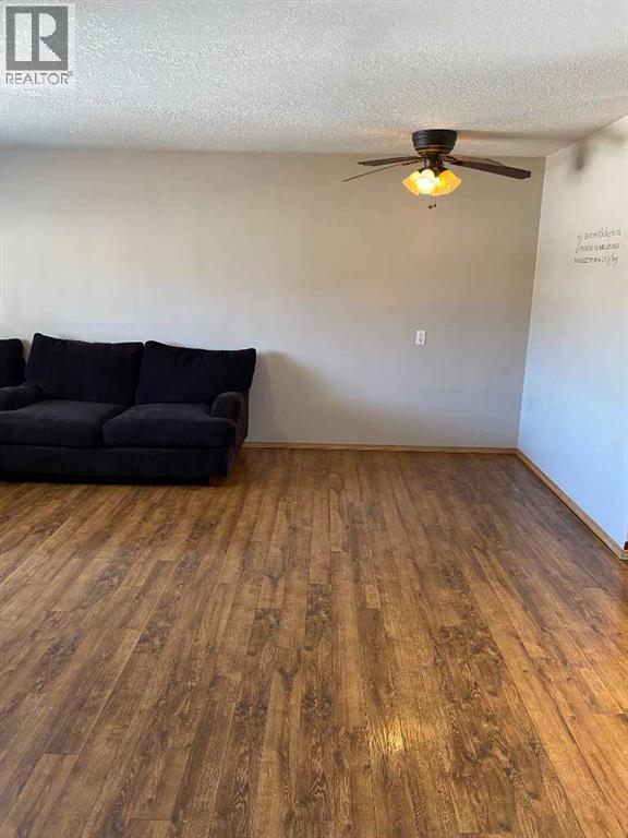 221 2nd Avenue SW, Manning, Alberta  T0H 2M0 - Photo 7 - A2305497