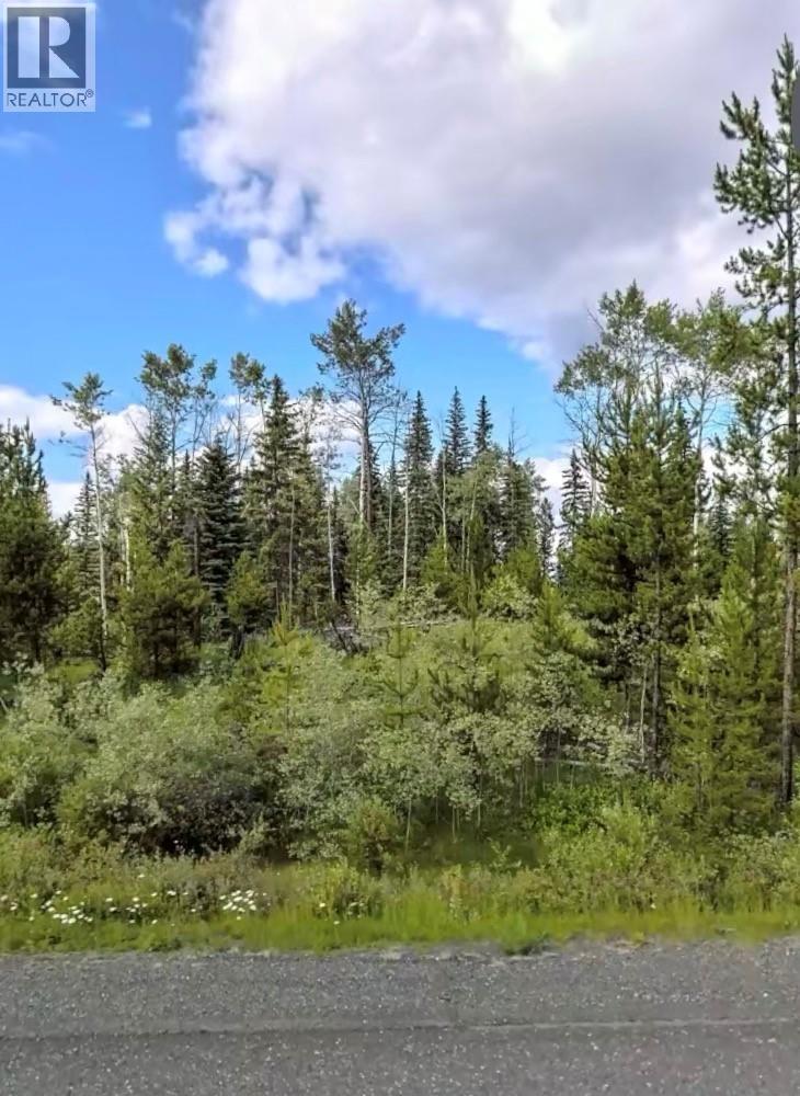 Lot 3 Horse Lake Road, 100 Mile House, British Columbia  V0K 2E1 - Photo 5 - R3116388