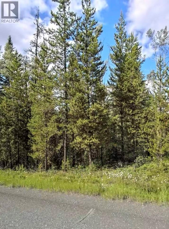 Lot 3 Horse Lake Road, 100 Mile House, British Columbia  V0K 2E1 - Photo 4 - R3116388