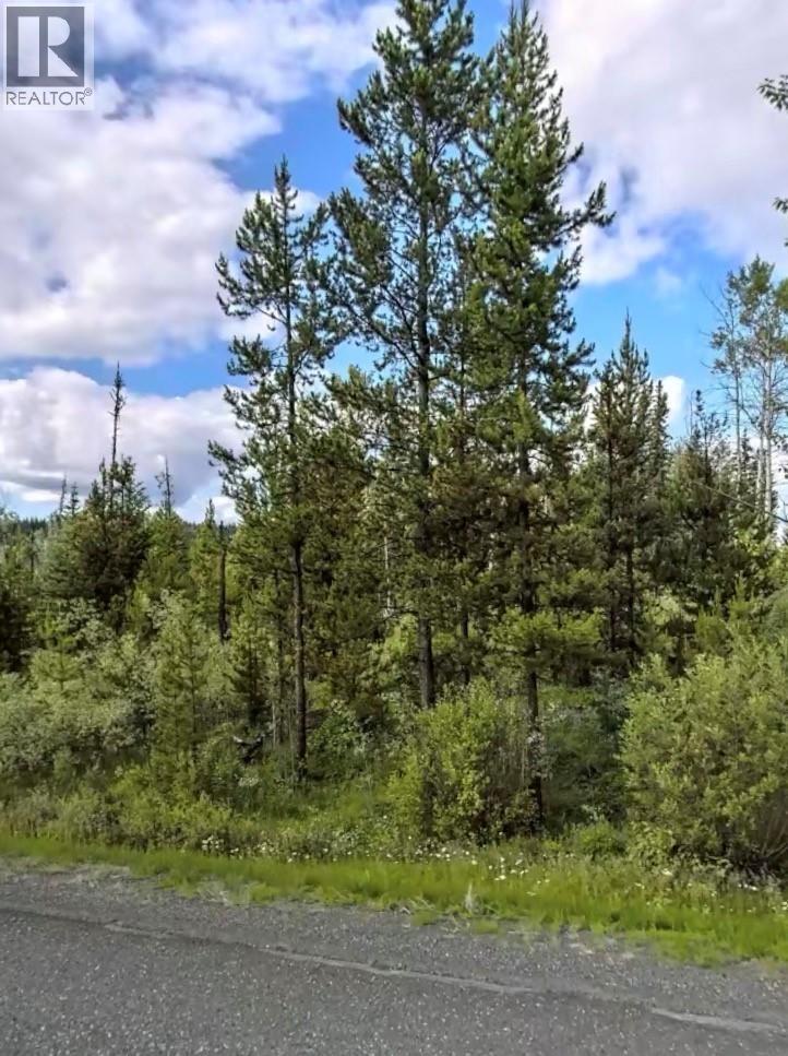 Lot 3 Horse Lake Road, 100 Mile House, British Columbia  V0K 2E1 - Photo 6 - R3116388