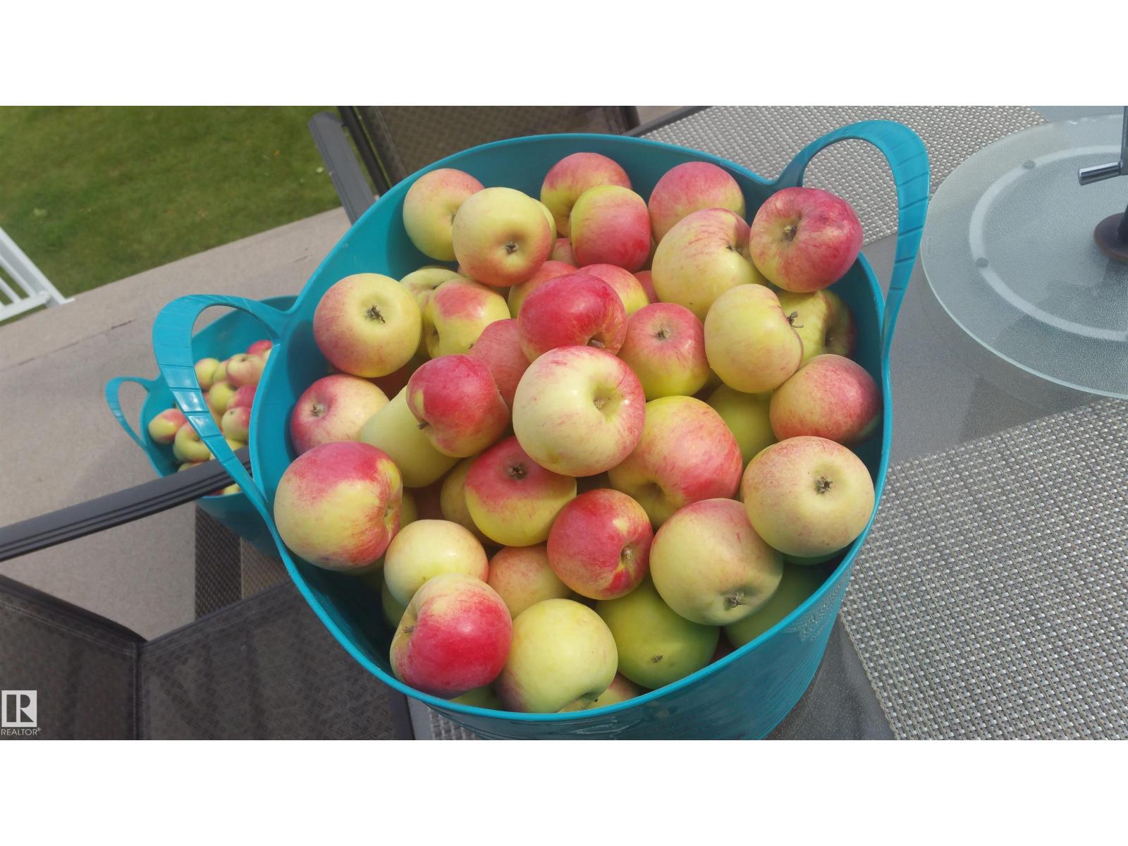 609-26 Street St, Cold Lake, Alberta  T9M 1M6 - Photo 53 - E4484561