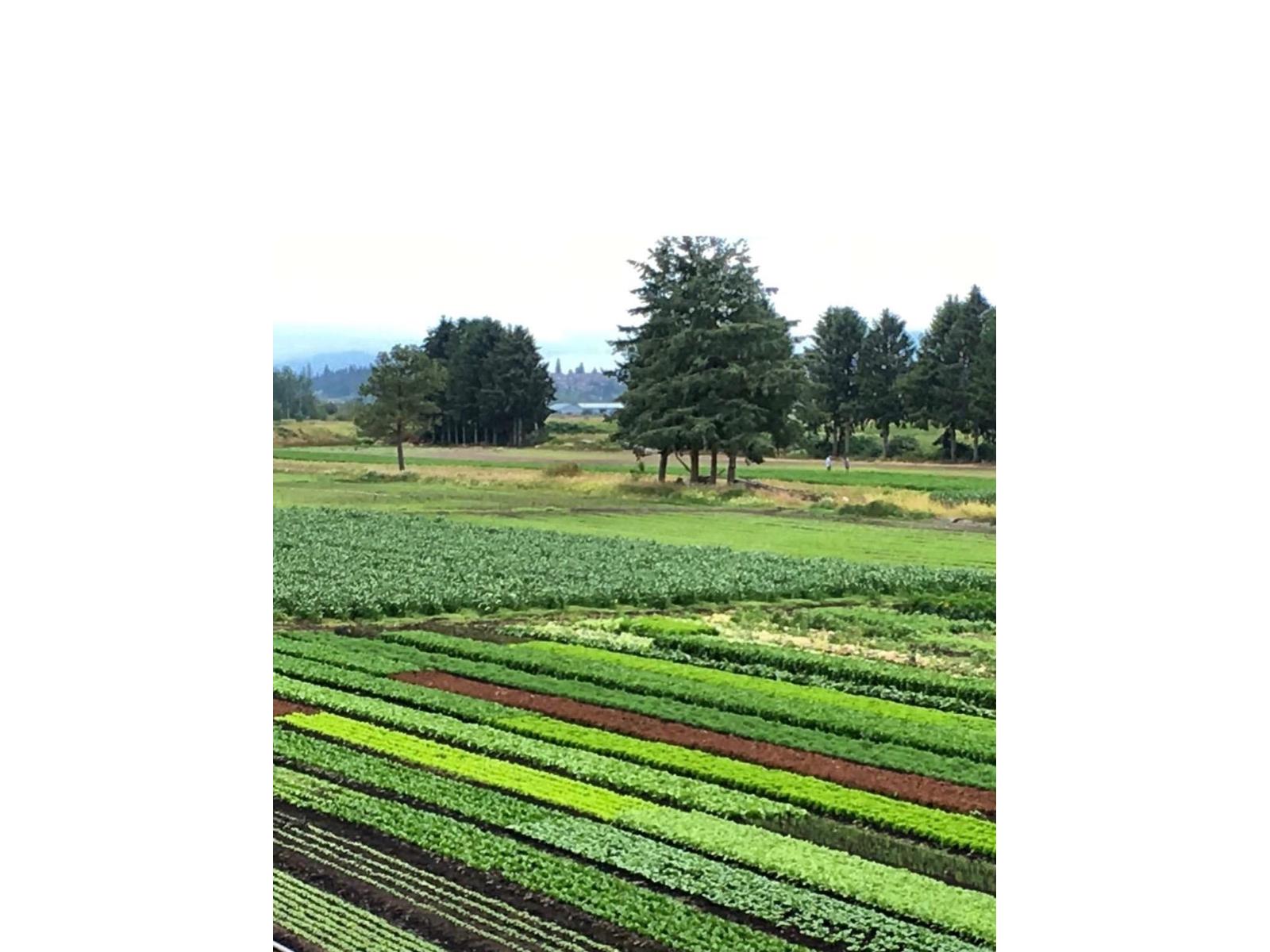 15675 40th Avenue, Surrey, British Columbia  V3Z 1E6 - Photo 11 - R3116588