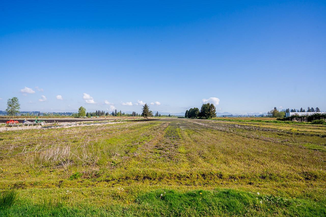 15675 40th Avenue, Surrey, British Columbia  V3Z 1E6 - Photo 14 - R3116588